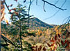 The Great Smoky Mountains